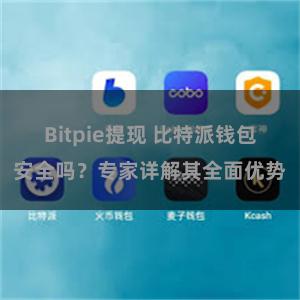 Bitpie提现 比特派钱包安全吗？专家详解其全面优势