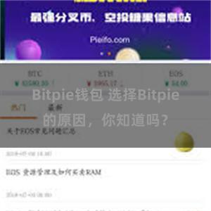 Bitpie钱包 选择Bitpie的原因，你知道吗？