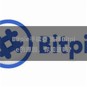 Bitpie手续费 选择Bitpie的原因，你知道吗？