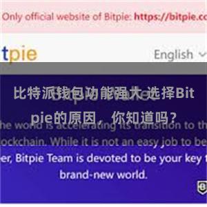 比特派钱包功能强大 选择Bitpie的原因，你知道吗？