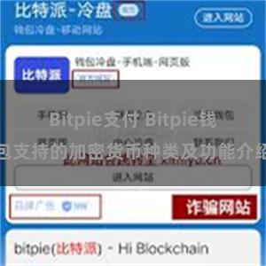 Bitpie支付 Bitpie钱包支持的加密货币种类及功能介绍