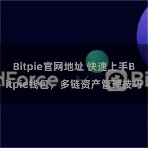 Bitpie官网地址 快速上手Bitpie钱包，多链资产管理技巧