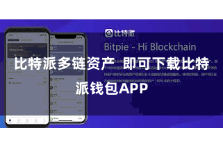 比特派多链资产 即可下载比特派钱包APP